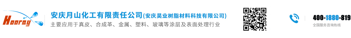 安慶月山化工有限責(zé)任公司